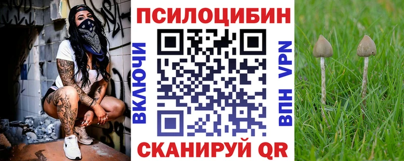 Псилоцибиновые грибы мицелий  как найти   Магадан 